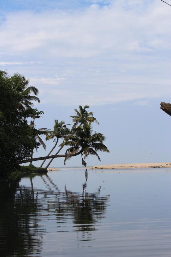 Telma Beach Homestay Mararikulam Kültér fotó