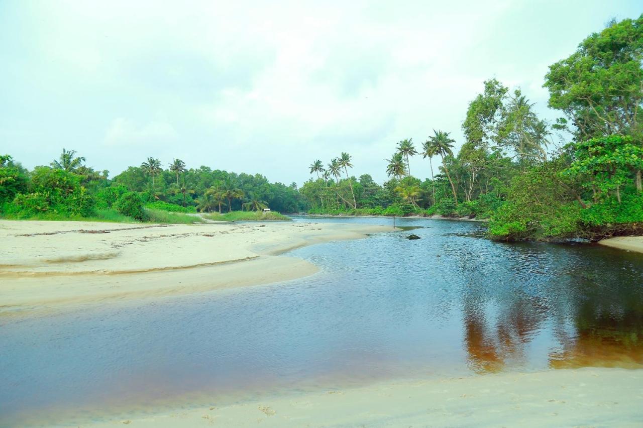 Telma Beach Homestay Mararikulam Kültér fotó