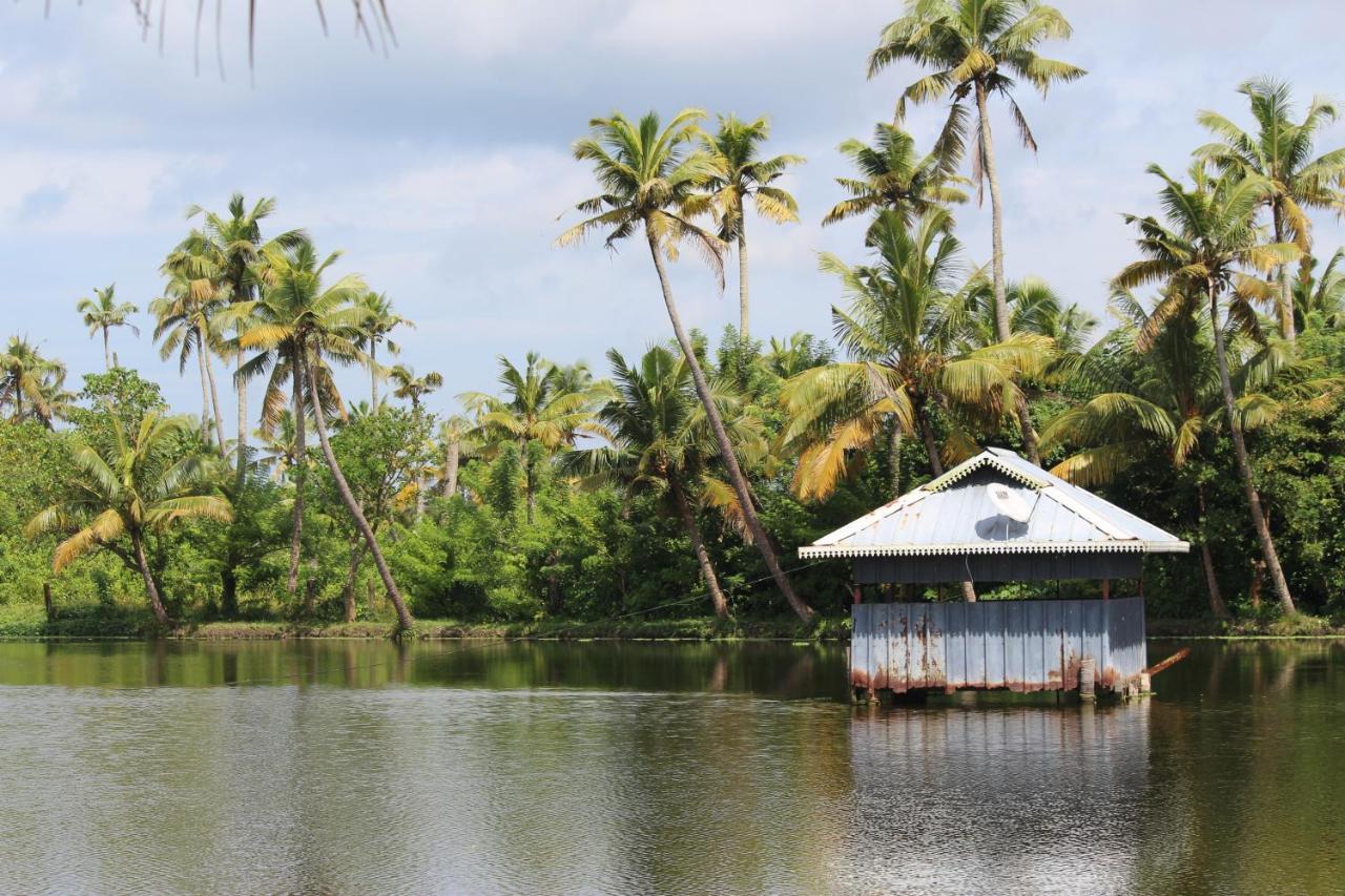 Telma Beach Homestay Mararikulam Kültér fotó